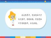 蘇教版五下科學(xué)3.10《晝夜對植物的影響》授課課件