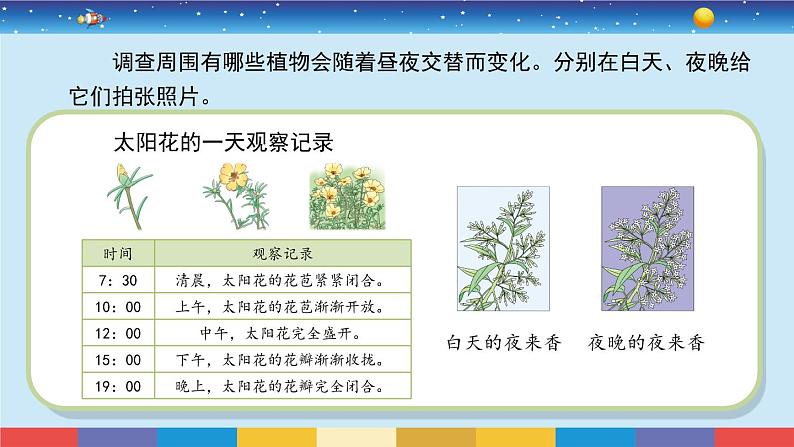 苏教版五下科学3.10《昼夜对植物的影响》授课课件04