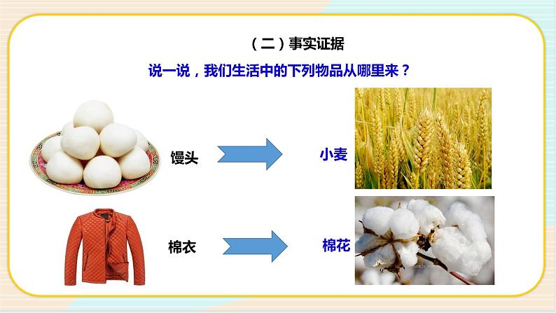 1.1 荒岛生存 二年级下册科学 大象版 教学课件第7页