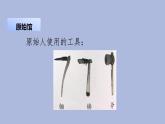 1-1 房子的变迁三年级科学下册 大象版课件
