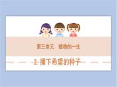 3-2 播下希望的種子三年級科學下冊 大象版課件