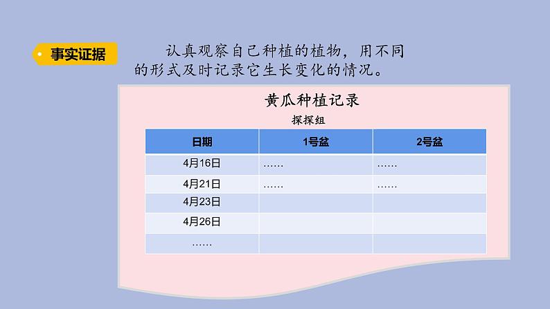 3-2 播下希望的种子三年级科学下册 大象版课件06