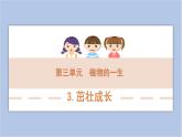 3-3 茁壯成長三年級科學(xué)下冊 大象版課件