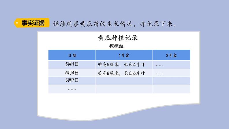 3-3 茁壮成长三年级科学下册 大象版课件第4页