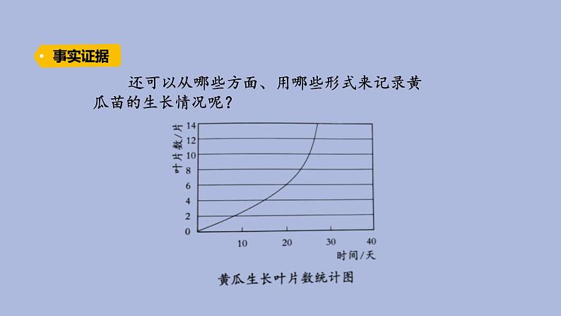 3-3 茁壮成长三年级科学下册 大象版课件第5页