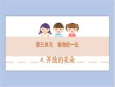 3-4 开放的花朵三年级科学下册 大象版课件