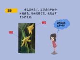 3-4 开放的花朵三年级科学下册 大象版课件