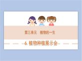 3-6 植物種植展示會(huì)三年級(jí)科學(xué)下冊(cè) 大象版課件