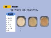 4-3 不一样的土壤三年级科学下册 大象版课件