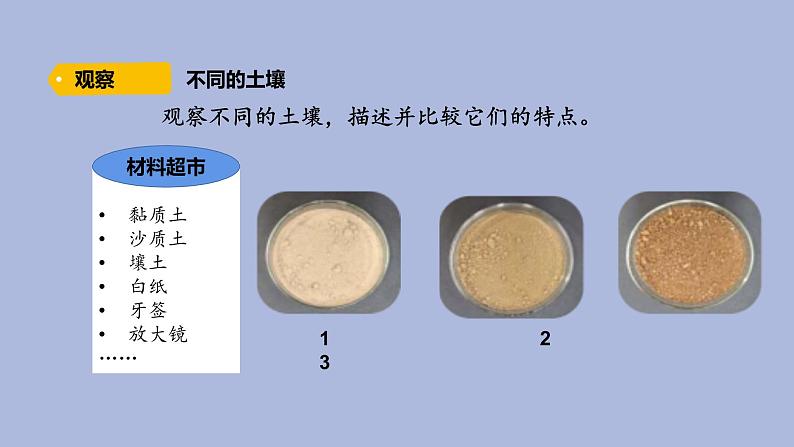 4-3 不一样的土壤三年级科学下册 大象版课件第3页