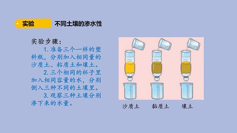 4-3 不一样的土壤三年级科学下册 大象版课件第6页