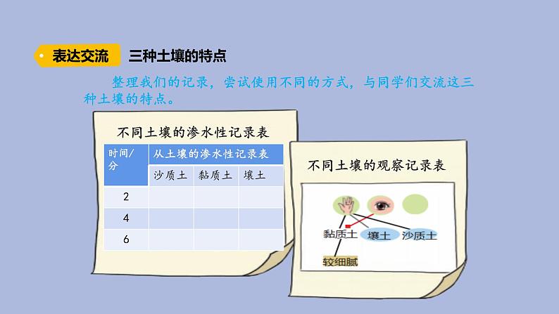 4-3 不一样的土壤三年级科学下册 大象版课件第7页