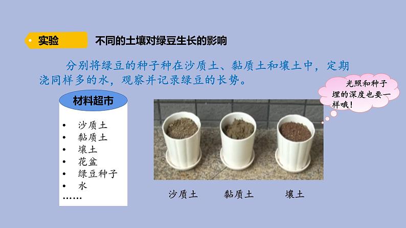 4-4 土壤与植物三年级科学下册 大象版课件第4页