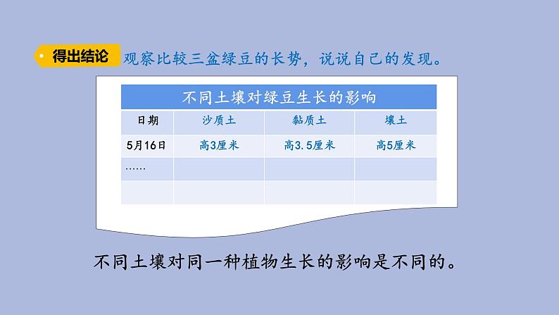 4-4 土壤与植物三年级科学下册 大象版课件第6页