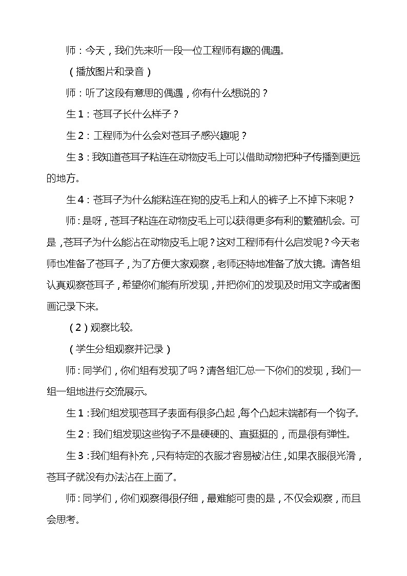 5.1《苍耳的启示》教案02