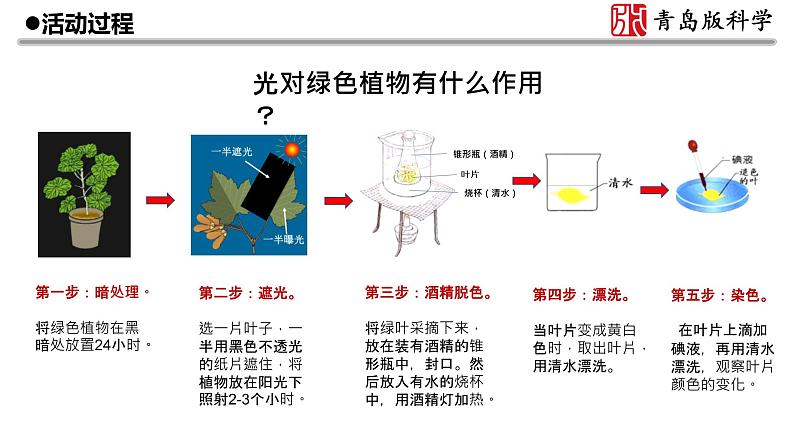 新青岛版(2017版)五年级下册科学18《光合作用》 课件PPT第4页