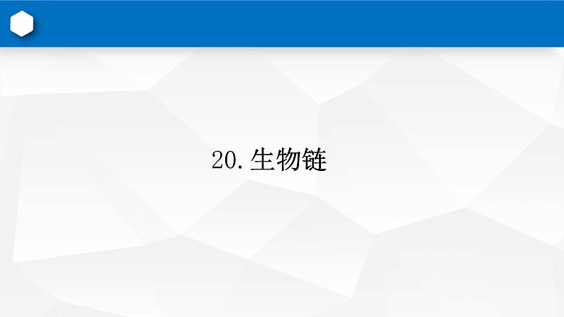 新青岛版(2017版)五年级下册科学20《食物链》（课件） 科学五年级下册02