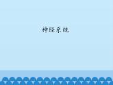 新青岛版(2017版)五年级下册科学1.2神经系统 PPT课件