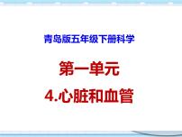 小学科学青岛版 (六三制2017)五年级下册第一单元 心和脑4 心脏和血管课文配套课件ppt