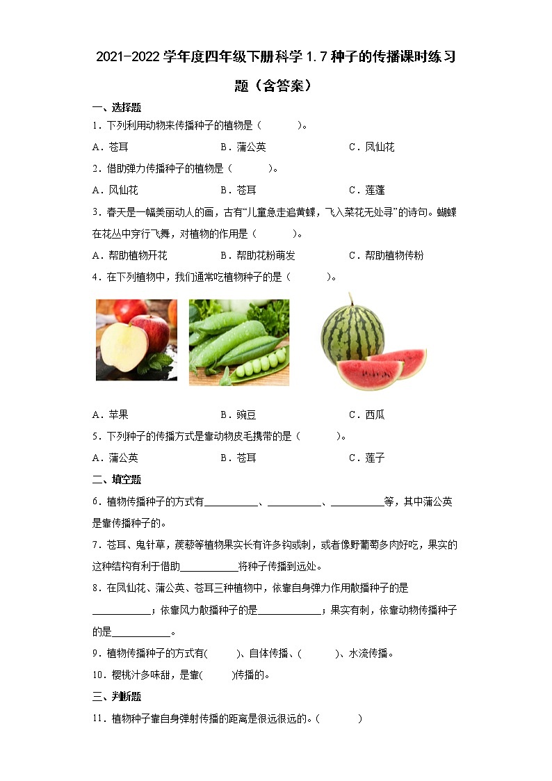 2021-2022学年度四年级下册科学1.7种子的传播课时练习题（含答案）01