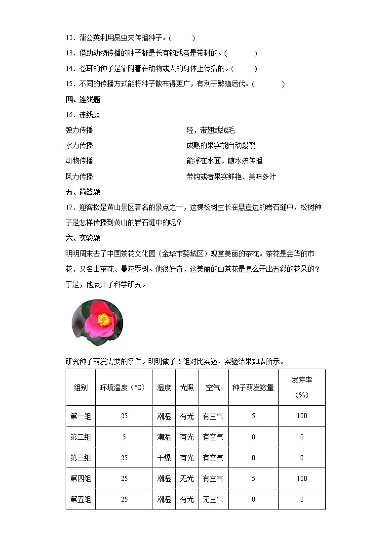 2021-2022学年度四年级下册科学1.7种子的传播课时练习题（含答案）02