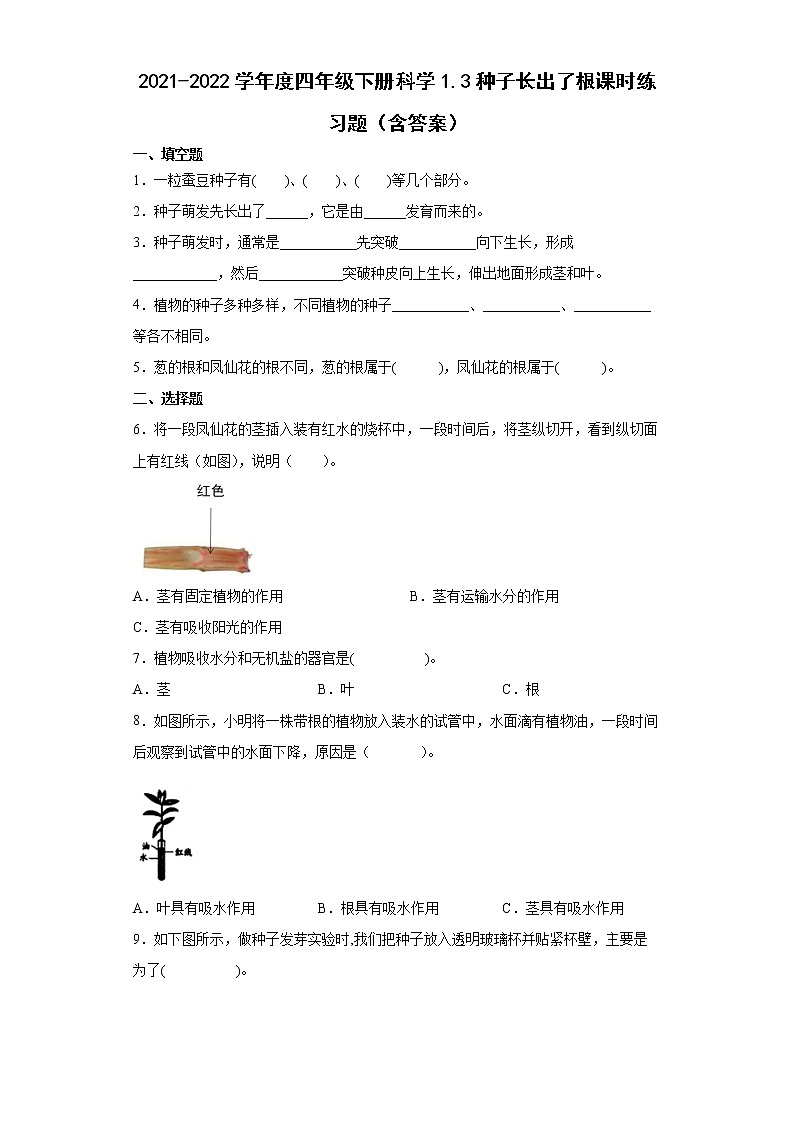 2021-2022学年度四年级下册科学1.3种子长出了根课时练习题（含答案）第1页