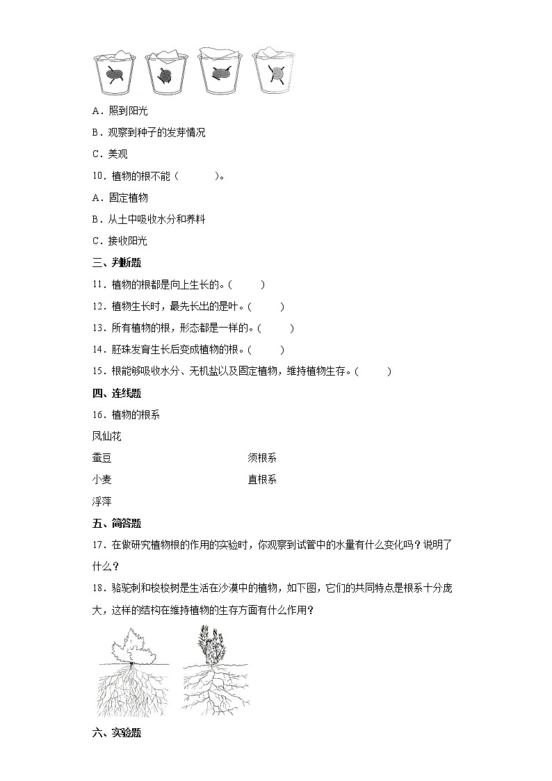 2021-2022学年度四年级下册科学1.3种子长出了根课时练习题（含答案）第2页