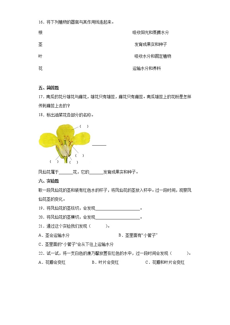 2021-2022学年度四年级下册科学1.5凤仙花开花了课时练习题（含答案）02