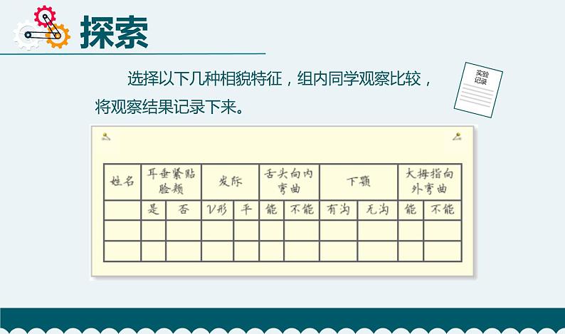 教科版 六年级科学下册 2.5 相貌各异的我们  课件第6页