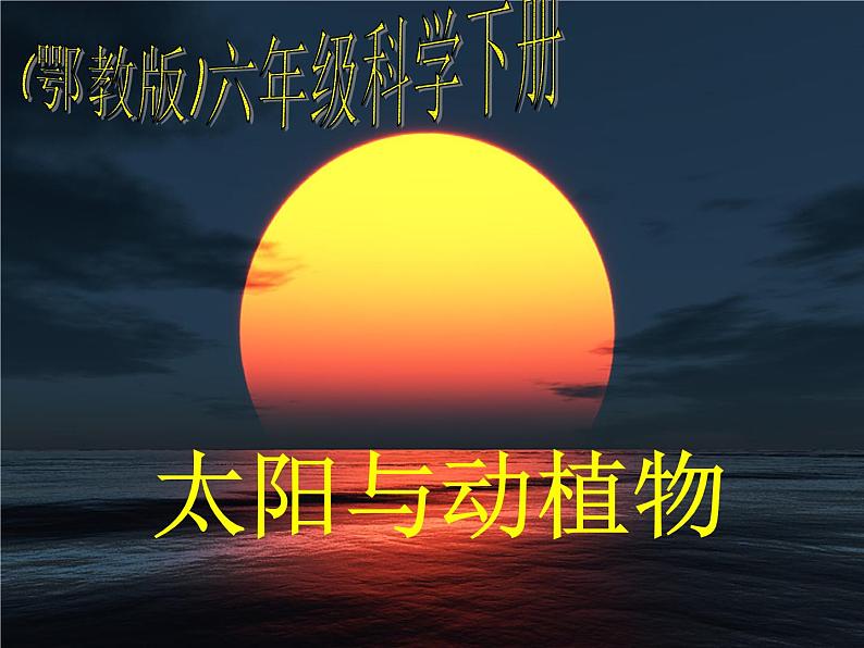 鄂教版小学科学六下《9.太阳与动植物》课件第1页