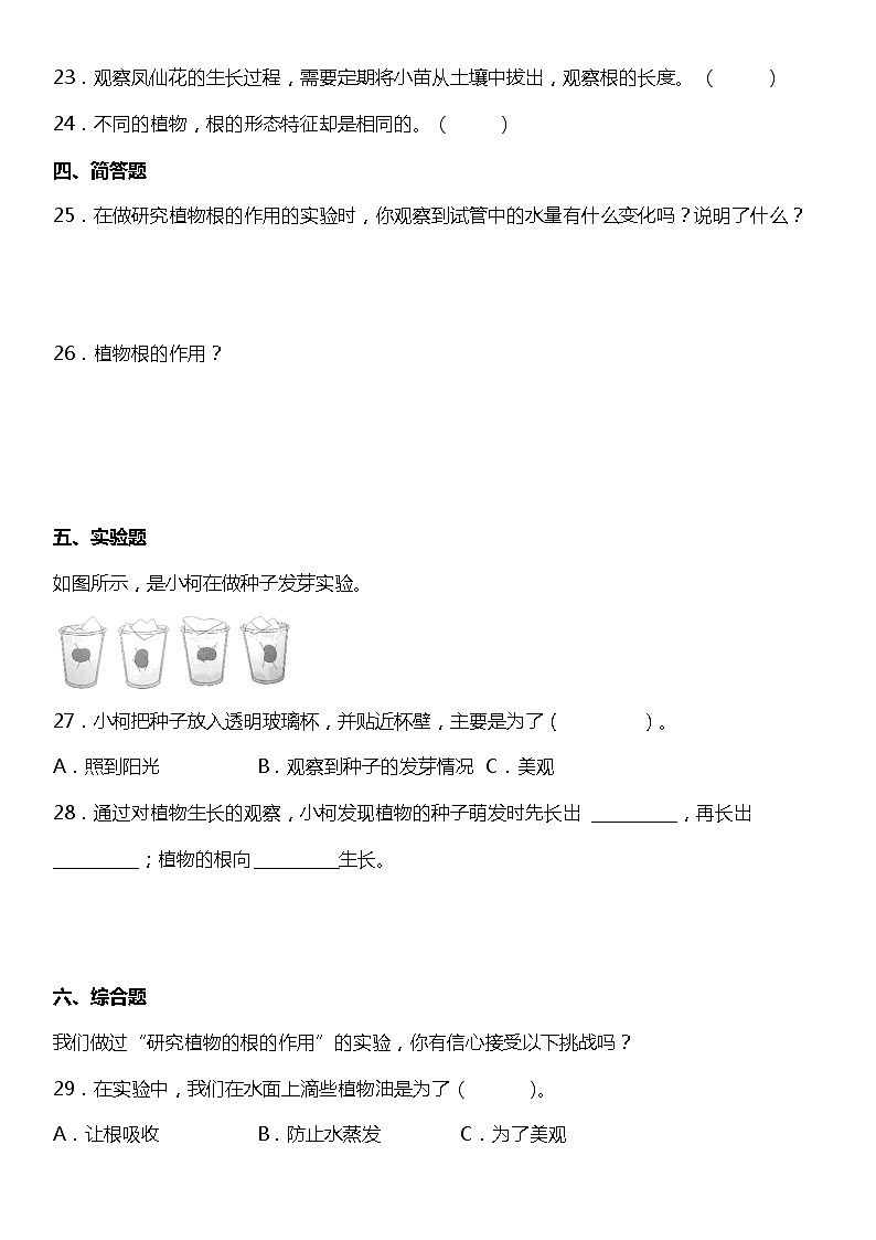 1.3《种子长出了根》（同步试题）2021-2022学年科学四年级下册 教科版03