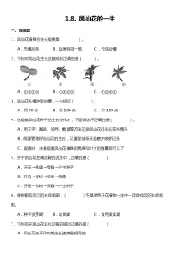 小学科学教科版 (2017)四年级下册8.凤仙花的一生综合训练题