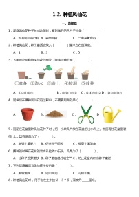 小学科学教科版 (2017)四年级下册2.种植凤仙花复习练习题