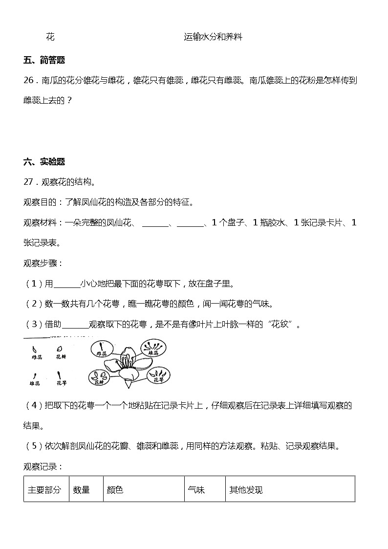 1.5《凤仙花开花了》（同步试题）2021-2022学年科学四年级下册 教科版03