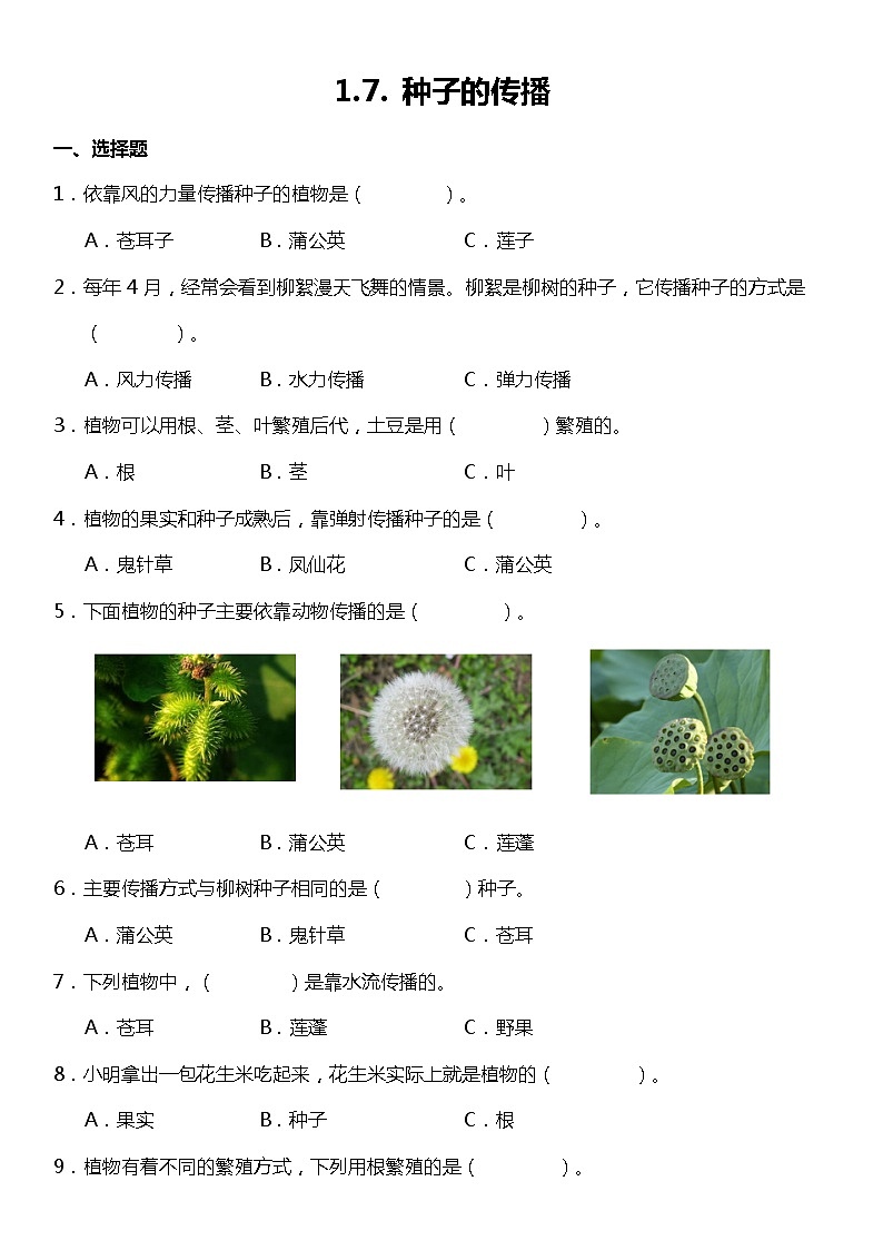1.7《种子的传播》（同步试题）2021-2022学年科学四年级下册 教科版01