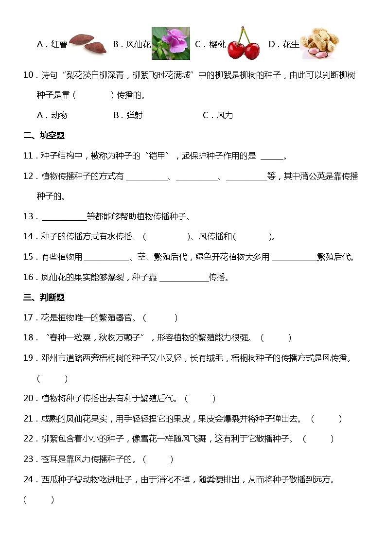 1.7《种子的传播》（同步试题）2021-2022学年科学四年级下册 教科版02