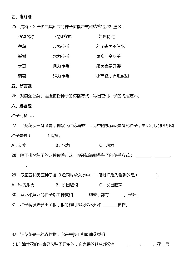 1.7《种子的传播》（同步试题）2021-2022学年科学四年级下册 教科版03