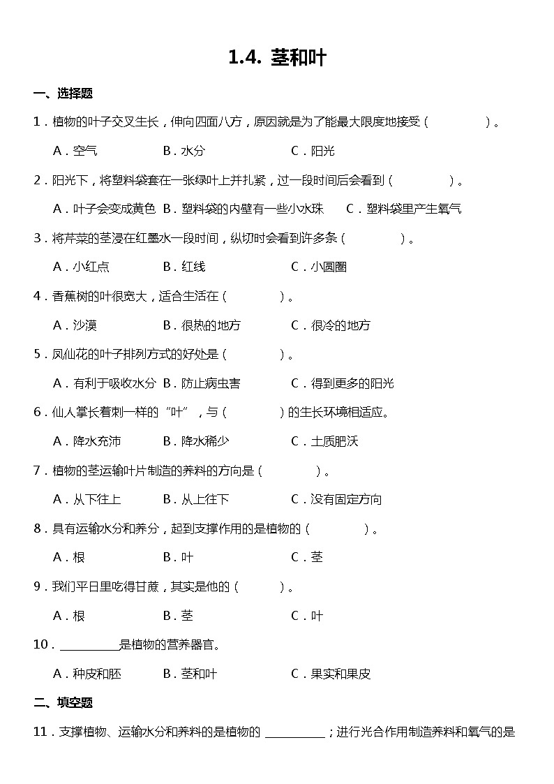 1.4《茎和叶》（同步试题）2021-2022学年科学四年级下册 教科版01