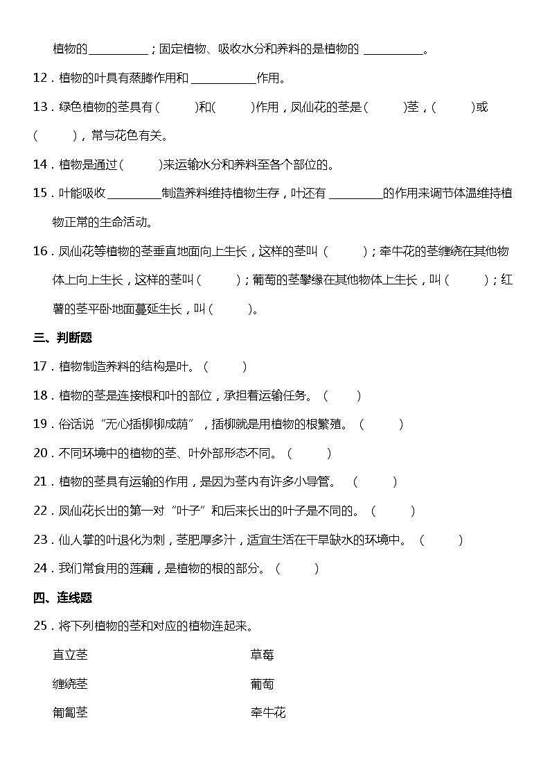 1.4《茎和叶》（同步试题）2021-2022学年科学四年级下册 教科版02