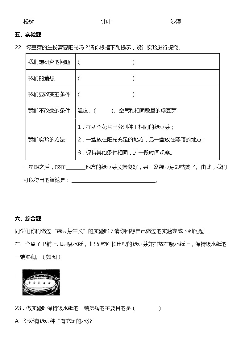 1.3《绿豆苗的生长》（同步试题）2021-2022学年科学五年级下册 教科版第3页
