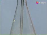 新青岛版科学六三学制 五年级下册课件（含素材）-第8课 二氧化碳