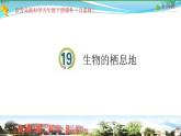 新青岛版科学六三学制 五年级下册课件（含素材）-第19课 生物的栖息地