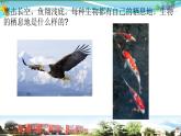 新青岛版科学六三学制 五年级下册课件（含素材）-第19课 生物的栖息地