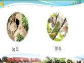 新青岛版科学六三学制 五年级下册课件（含素材）-第19课 生物的栖息地
