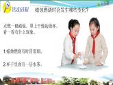 新青岛版科学六三学制 五年级下册课件（含素材）-第21课 蜡烛燃烧