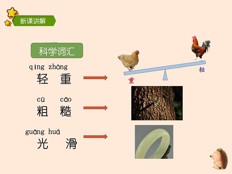 1-1 发现物体的特征课件PPT第8页