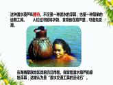 2.1《船的历史》课件+教案+习题