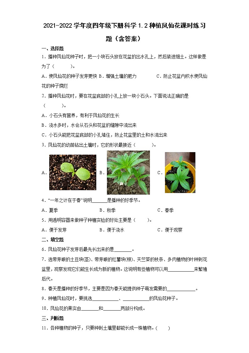2021-2022学年度四年级下册科学1.2种植凤仙花课时练习题（含答案）第1页