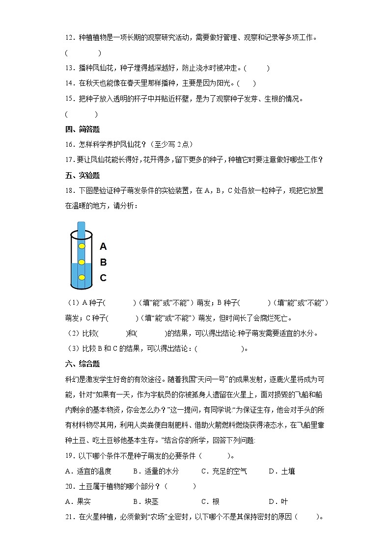 2021-2022学年度四年级下册科学1.2种植凤仙花课时练习题（含答案）第2页