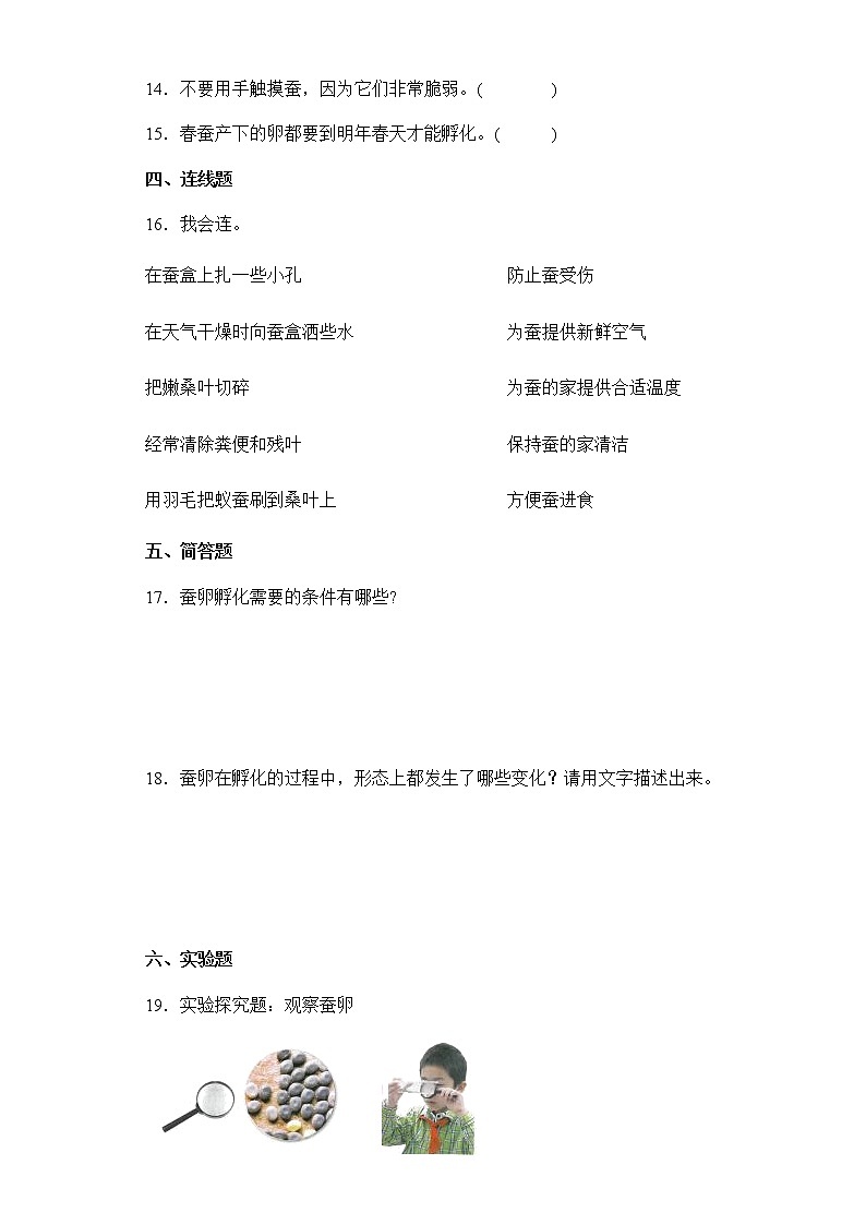 2021-2022学年度教科版三年级下册科学2.1迎接蚕宝宝的到来课时练习题（含答案）第2页